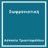 Σωφρονιστική