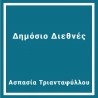 Δημόσιο Διεθνές