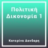 Πολιτική Δικονομία 1